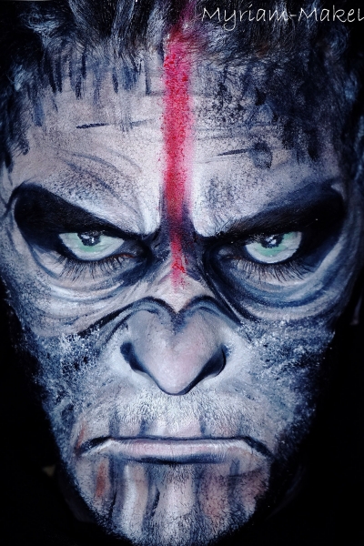 Planete des singes